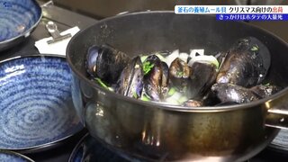 「高水温に耐えられるので」ムール貝の養殖に取り組む漁師たち　きっかけはホタテの大量死　岩手・釜石市